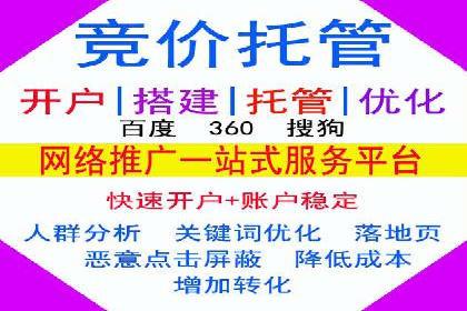 某科技公司SEM优化实践：从数据看效果提升